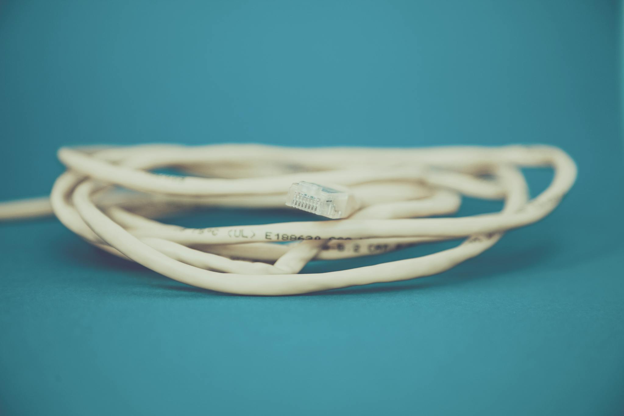 Building a Loyal Blog Audience: Strategies for Engagement and Growth 2 a detailed close up of a coiled ethernet