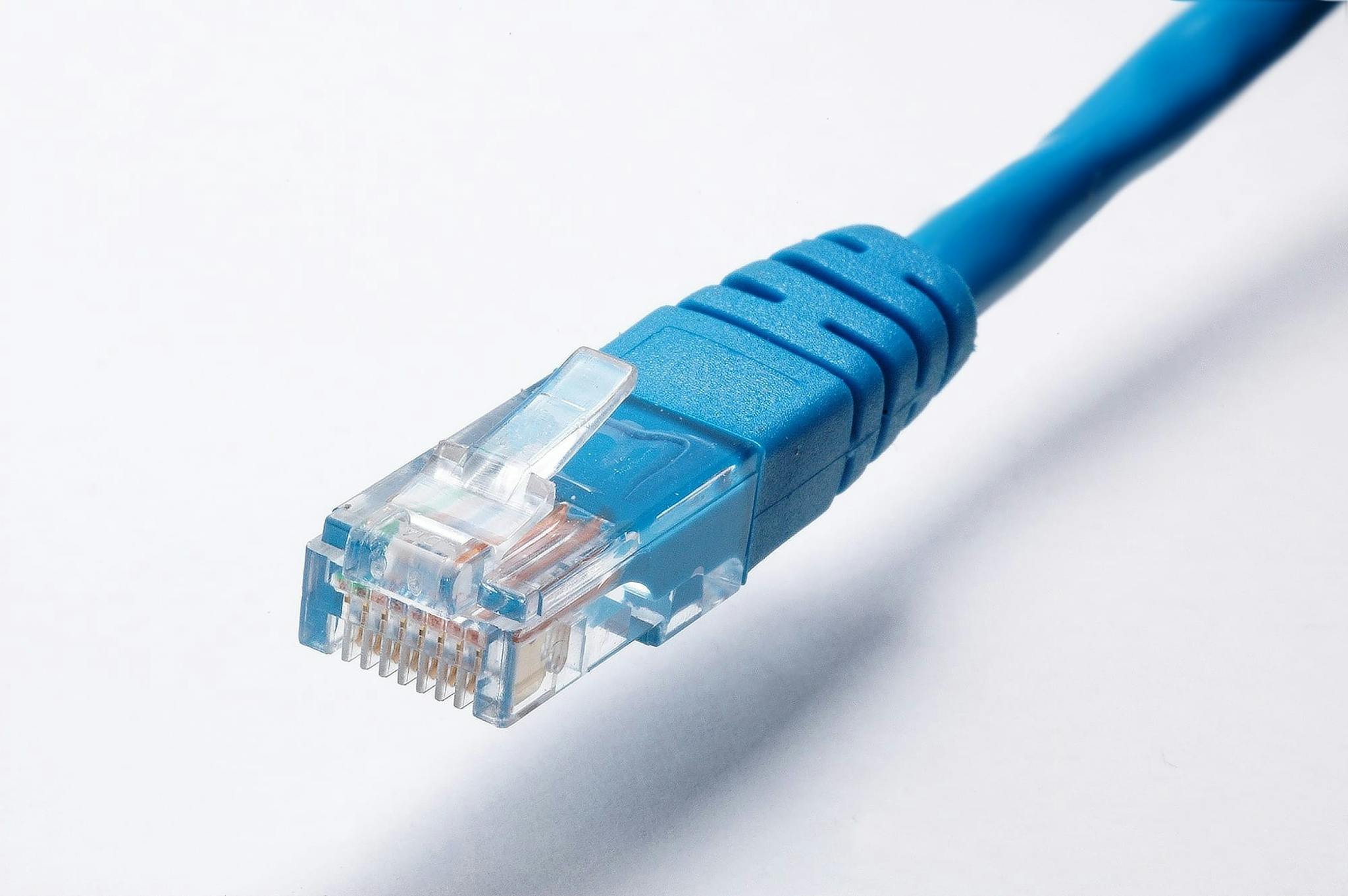 Never Run Out of Ideas: Top Tips for Generating Fresh Blog Topics 2 high quality image of a blue ethernet cable