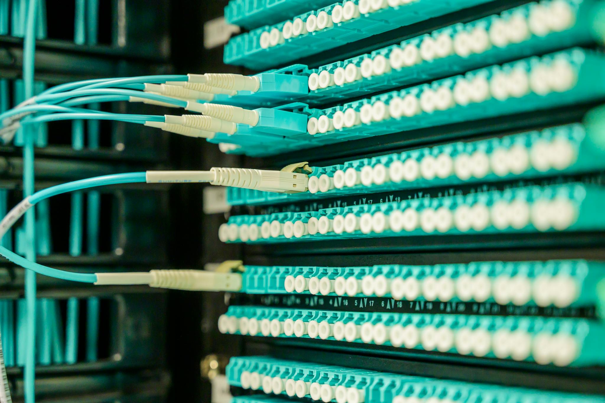 Pricing 1 Networking cables plugged into a patch panel, showcasing data center connectivity.