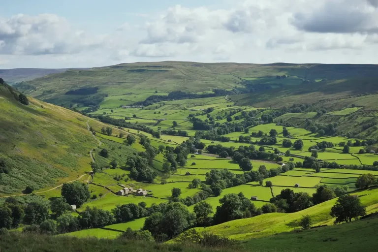 Starlink Installation in Yorkshire